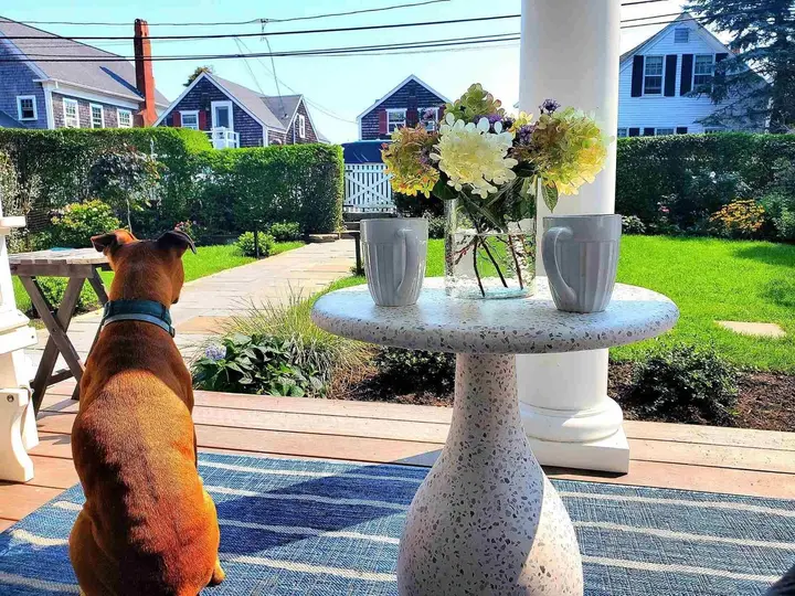 36 West in Provincetown, MA, photo 3